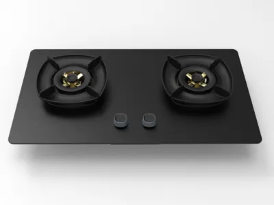 Sleek Dual Burner Gas Stove for Modern Home Cooks